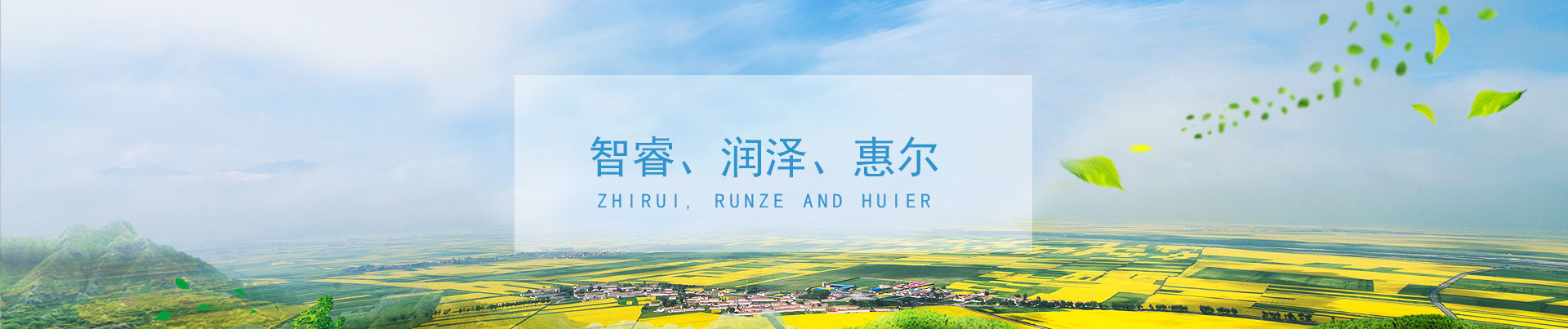 &#31859;&#20848;&#22312;&#32447;&#27880;&#20876;&#45;&#31859;&#20848;&#65288;&#20013;&#22269;&#65289;